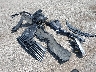4T1BF1FK9HU****** Wrecked 2017 Toyota Camry in Illinois State