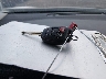 2T1BURHE3FC****** Salvamento 2015 Toyota Corolla en Estado de Ohio