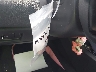 SALVP2BG4HH****** Salvamento y Destrozados 2017 Land Rover Range Rover Evoque en Ace Perris
