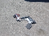 KL4MMESL7PB****** Wrecked 2023 Buick Encore in Kansas State