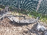 KL77LFEP8SC****** Repairable 2025 Chevrolet Trax