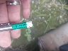 1N4BL4DW5KC****** Reparables 2019 Nissan Altima