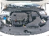 5XXGU4L35JG****** Repairable 2018 Kia Optima in Tampa North