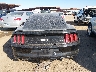 1FA6P8CF7G5****** Wrecked 2016 Ford Mustang