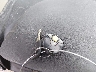 5GZCZ63436S****** Salvamento 2006 Saturn VUE en Estado de Virginia Occidental