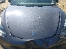 5YJ3E1EA7PF****** Reparables 2023 Tesla Model 3 en Fontana