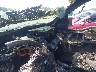 1FTPX14594N****** Repairable 2004 Ford F-150 in North Carolina State