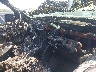 1FTPX14594N****** Used and Repairable 2004 Ford F-150 in North Carolina State