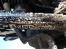 1HD1KBM34BB****** Repairable 2011 Harley-Davidson FLHXS in Rec Rides Online Exclusive