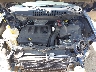 1C4NJDEB8HD****** Repairable 2017 Jeep Compass in Buffalo