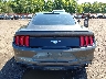 1FA6P8TH9K5****** Wrecked 2019 Ford Mustang