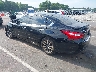 1N4AL3AP0GC****** Salvamento y Reparables 2016 Nissan Altima en Raleigh