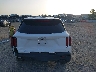 5XYRG4LC6PG****** Wrecked 2023 Kia Sorento