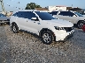 5XYRG4LC6PG****** Salvage and Wrecked 2023 Kia Sorento in Tampa