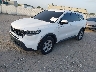 5XYRG4LC6PG****** Used and Repairable 2023 Kia Sorento in Tampa