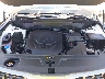 5XYP5DGC7PG****** Repairable 2023 Kia Telluride in East Bay