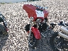 1HD1KBC15PB****** Used and Repairable 2023 Harley-Davidson FLHXS in Montana State