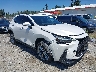 JTJHKCEZ7R5****** Salvamento y Destrozados 2024 Lexus NX en Seattle