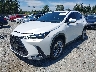 JTJHKCEZ7R5****** Usados y Reparables 2024 Lexus NX en Seattle