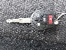 3N1AB7AP3KY****** Salvage 2019 Nissan Sentra in Florida State