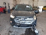 1FMCU0GDXHU****** Wrecked 2017 Ford Escape in Michigan State