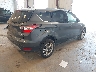 1FMCU0GDXHU****** Salvage and Wrecked 2017 Ford Escape in Michigan State
