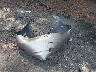 1NXBU4EE2AZ****** Wrecked 2010 Toyota Corolla in Virginia State