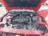 1FA6P8THXR5****** Reparables 2024 Ford Mustang en McAllen