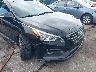 5NPE34AF6HH****** Salvamento y Reparables 2017 Hyundai Sonata en Estado de Maryland