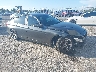WBA3A5G51FN****** Salvamento y Destrozados 2015 BMW 3 Series en Tampa North