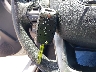 KNADM4A39G6****** Salvage 2016 Kia Rio in Nebraska State