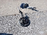 3N1CN8FV3RL****** Wrecked 2024 Nissan Versa in Illinois State