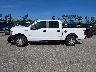 1FTEW1E58LK****** Reparables 2020 Ford F-150 en Estado de Florida
