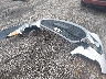 KMHTC6AE6GU****** Destrozados 2016 Hyundai Veloster en Estado de Carolina del Sur