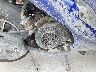 LFETCAGJ0R1****** Wrecked 2024 Senling MP50 in Rec Rides Online Exclusive
