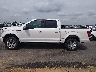1FTEW1EG7GF****** Salvamento 2016 Ford F-150