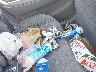 1NXBR12E92Z****** Wrecked 2002 Toyota Corolla in Oregon State