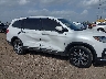 5FNYF5H61MB****** Salvamento y Reparables 2021 Honda Pilot en Estado de Texas