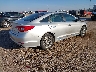 5NPE34AF6FH****** Salvage and Wrecked 2015 Hyundai Sonata in Texas State