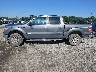 1FTFW1ET0DF****** Salvamento 2013 Ford F-150