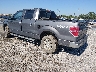 1FTFW1ET0DF****** Salvamento y Reparables 2013 Ford F-150 en Savannah