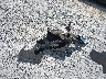 2GNAXHEV4K6****** Destrozados 2019 Chevrolet Equinox en Estado de Florida