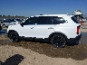 5XYP54HC5LG****** Reparables 2020 Kia Telluride en Estado de Kansas