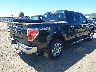 1FTFW1ET2DK****** Salvage and Wrecked 2013 Ford F-150 in Washington State