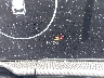 5XYK53DF0TG****** Salvage 2026 Kia Sportage