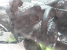 WA1EY74L07D****** Salvage 2007 Audi Q7