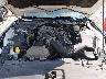 1FA6P8AM4H5****** Repairable 2017 Ford Mustang in Indianapolis