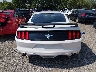 1FA6P8AM4H5****** Wrecked 2017 Ford Mustang