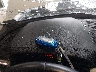 5XYP64HC0NG****** Salvage 2022 Kia Telluride in Virginia State