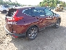 2HKRW2H84KH****** Salvamento y Destrozados 2019 Honda CR-V en Estado de Indiana